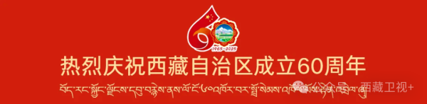 易资配 重磅发布丨庆祝西藏自治区成立60周年主题概念片_大皖新闻 | 安徽网